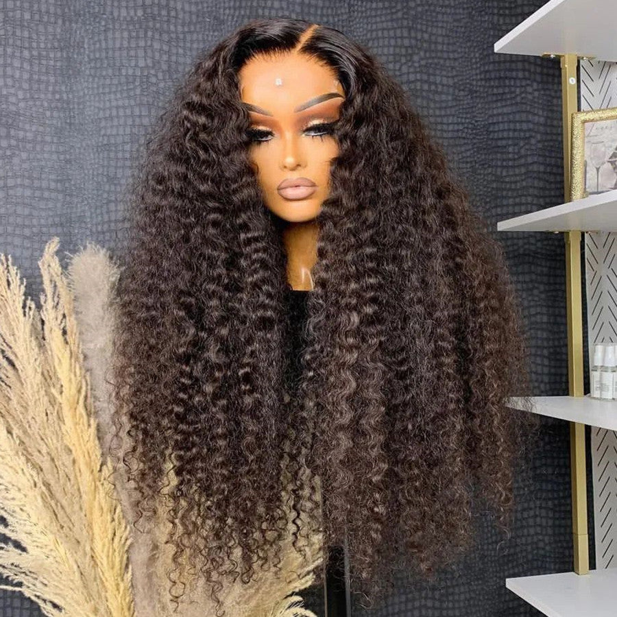 Invisible Hairline Water Wave 210% Density HD Lace Closure Wig