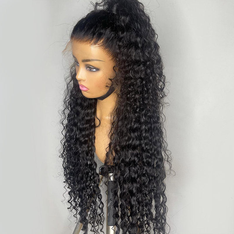 Where's The Lace! Invisible HD Lace Frontal Wig Curly Human Hair Wigs