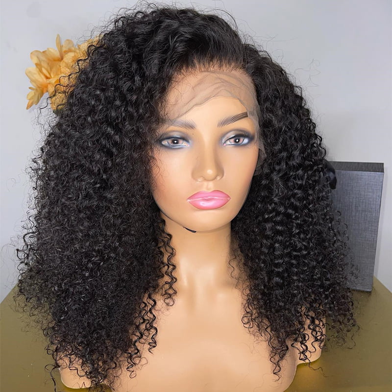 Kinky Curly Transparent Swiss Lace Wig 13x4 Front Lace Wig Human Hair